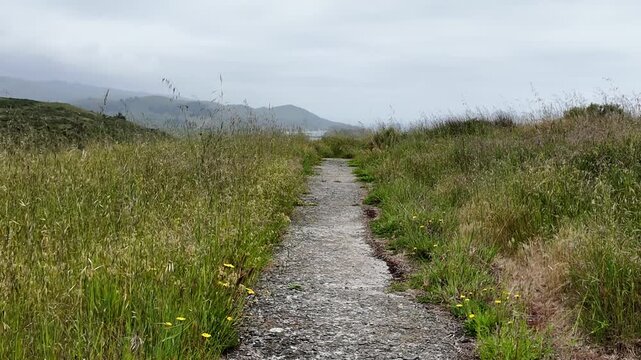 Jenner Headlands Preserve is a protected coastal wilderness offering scenic hiking trails dramatic ocean views rolling headlands and rich natural habitats along the Sonoma Coast