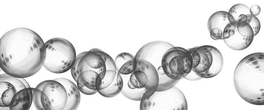 Transparent soap bubbles on white background, floating clear water spheres, glossy liquid orbs for cosmetic and hygiene design