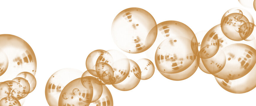 Golden liquid bubbles on white background, floating amber spheres with reflections, elegant champagne carbonation or soap suds texture