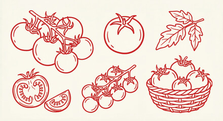 Vintage tomato line art collection, hand drawn red cherry tomatoes on vine, organic vegetable sketches in wicker basket, rustic food vector set © Muhammad
