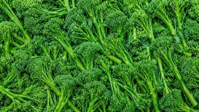 Broccolini Vegetable Background. Vegetable Background. Generative Ai