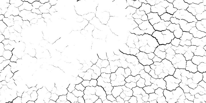 Cracked dry grunge texture background with black lines on white, Cracked soil or mud pattern for design and decoration