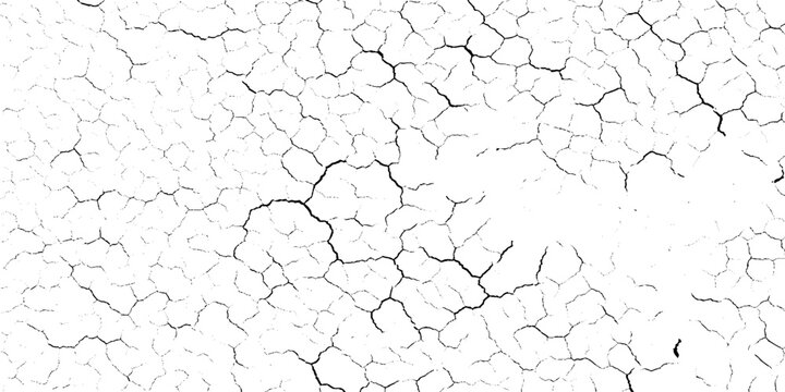 Cracked earth texture with black lines on white grunge background, Dry soil pattern, Drought effect, Vector illustration