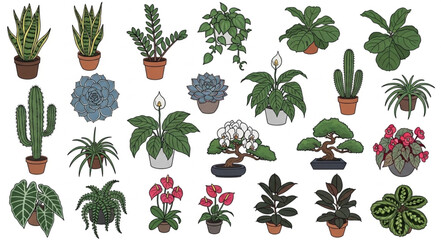 Naklejka premium Collection of Various Potted Houseplants and Cacti.
