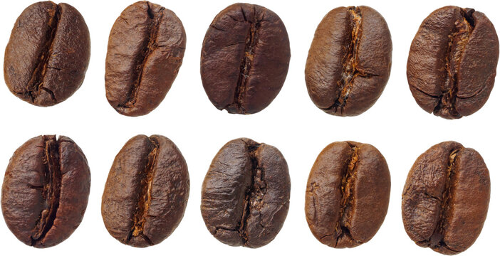 coffee beans set isolated on white background