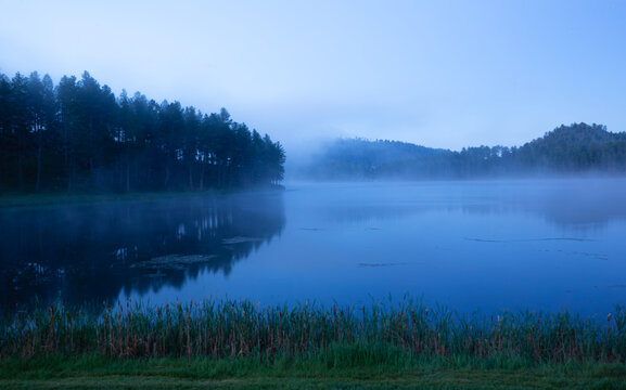 Beautiful quiet in predawn mist scenic at Custer State Park in South Dakota