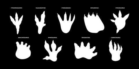 Fossil Dinosaur Footprint Set. Dino Dragon Print Foot Paw Bundle. Dinosaur Footprint Track Kit. Doodle Vector Illustration © Anna Drozdova