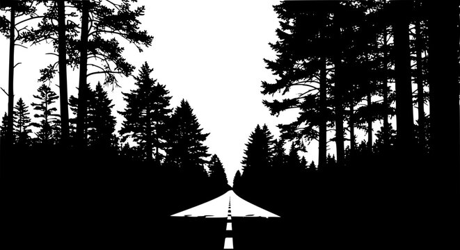 Silhouette of a long empty road passing through a dense pine forest