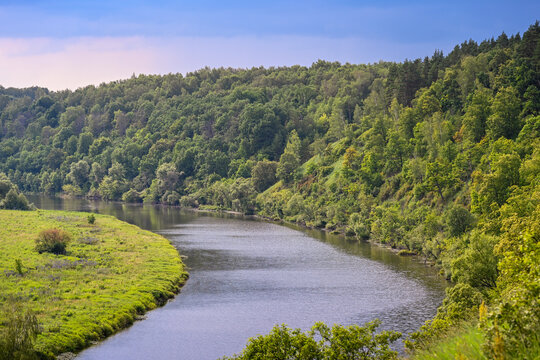 Dense forest on the bend of the Zusha River on Krasnaya Krucha Hill, Oryol region of Russia