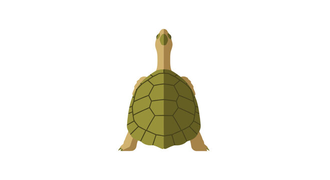 Green turtle flat illustration from top view on white background