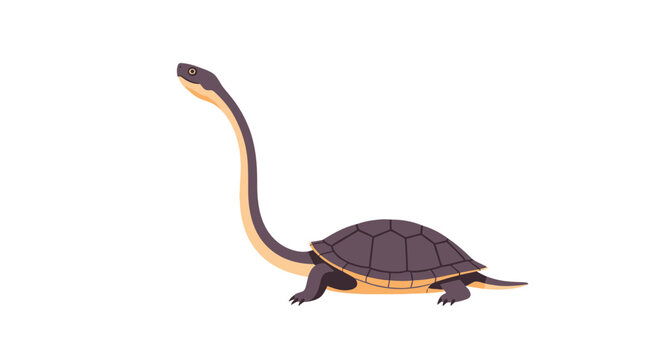 Eastern long-necked turtle side view on white background