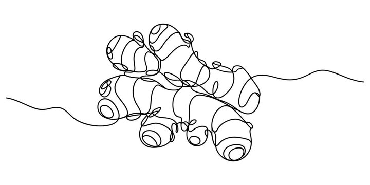 Ginger root continuous single line drawing