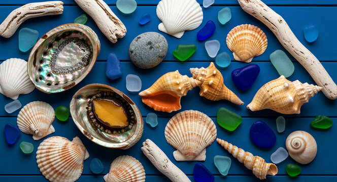 Assorted seashells and colorful sea glass arranged on a blue wooden table. Beach treasures including abalone and driftwood pieces. Nautical decoration concept for summer travel and coastal design.