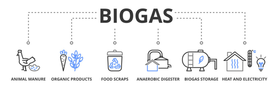 Biogas banner vector illustration concept with icon of animal manure, organic products, food scraps, anaerobic digester, biogas storage, heat and electricity