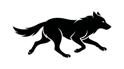Fototapeta premium Agile wild wolf running in profile, isolated white background.