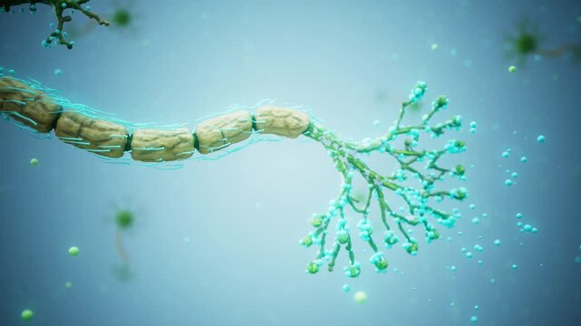 Conceptual 3D animation of a neuron with floating molecules