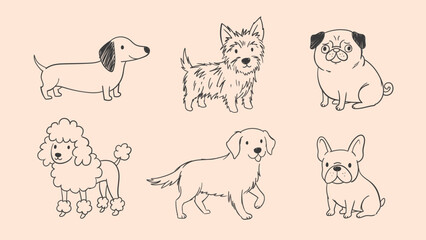 Fototapeta premium Cute hand-drawn dog breeds standing and sitting against a solid background. Line art illustration representing canine diversity and pet concept.