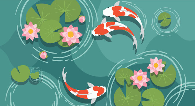 Serene top down view of three orange and white koi fish swimming among green lily pads and pink lotus flowers in a blue water pond.