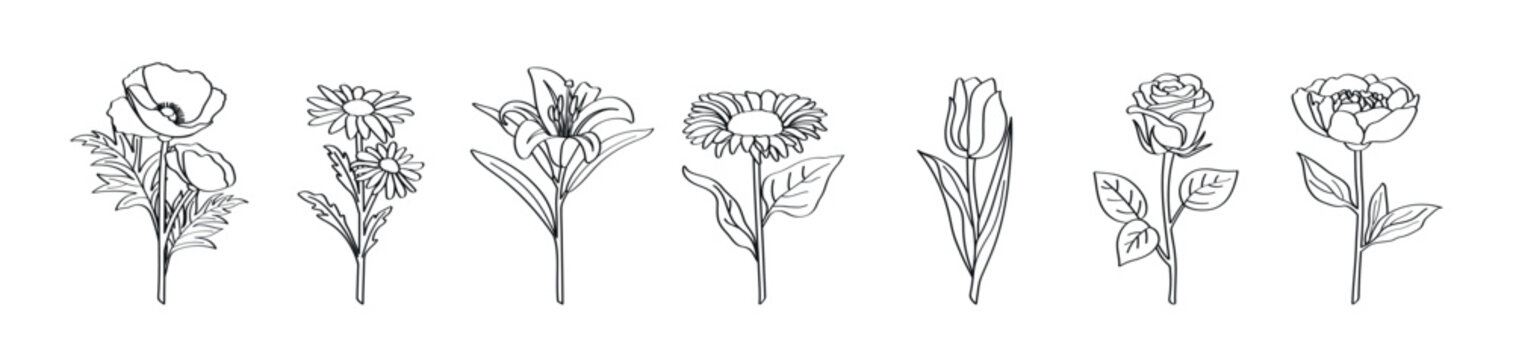 Poppy, daisy, lily, sunflower, tulip, rose and peony &mdash; set of linear outline flowers on white background, vector