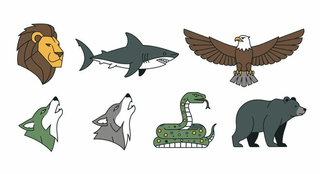 Wildlife animals collection lion shark eagle wolf snake and bear illustrations