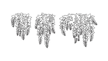Set of hanging plant sketches isolated on transparent background for architectural drawing. © Sara Studio