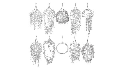 Hanging plant vector set with cascading ivy and leafy foliage for interior design project. © Sara Studio