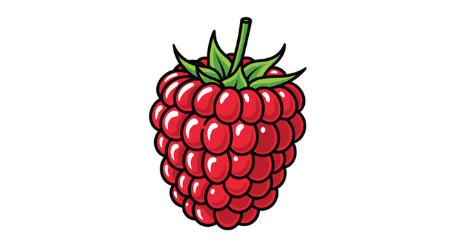 Vibrant vector illustration of a single ripe raspberry against white background
