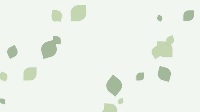 A gentle swirl of minimalist light green leaves on a clean white background