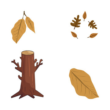 Autumn leaves and tree stump illustration with growth ring flat lay botanical illustration decoration seasonal outdoors