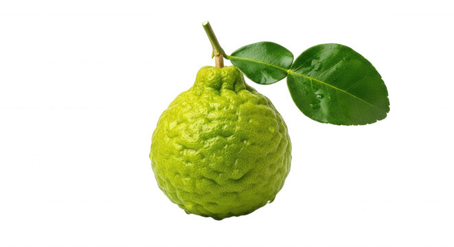 A single fresh kaffir lime fruit with a bumpy, textured green rind and two glossy green leaves attached, isolated on a solid black background