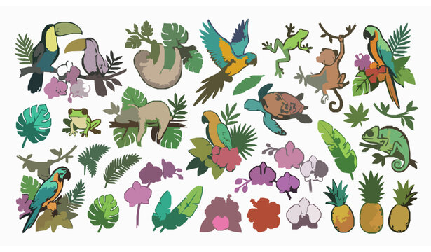 Hand Drawn Tropical Jungle Vector Collection with Exotic Animals Monstera Leaves and Flowers
