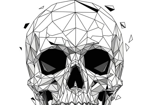 Detailed geometric polygon human skull face illustration.