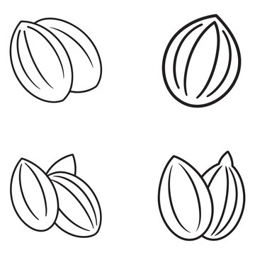 Line drawing of four different views of shelled nuts on white background