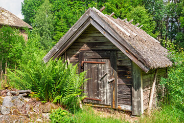 Wooden shed by a lush green forest a sunny summer day © Lars Johansson