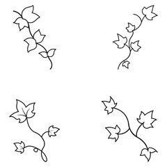 Fototapeta premium Set of four different minimalist line art illustrations of leafy vine stems with various leaf shapes and branch curves simple elegant botanical designs