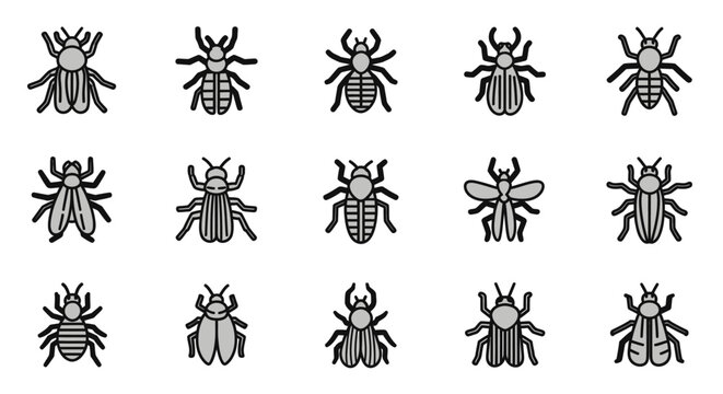 Set of various insect illustrations in simple vector style for design