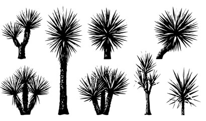 Realistic jungle yucca tree cutout 3D vector isolated on white © Md