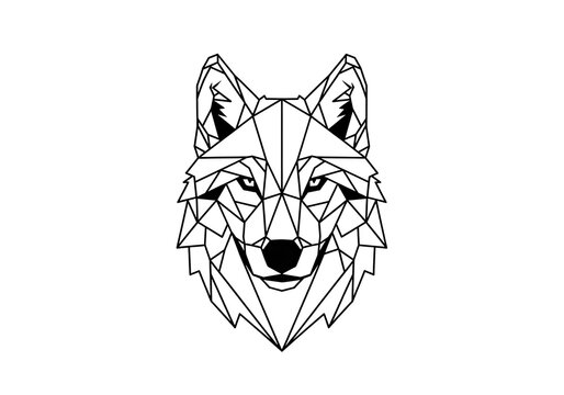 Frontal geometric low poly wolf head illustration.