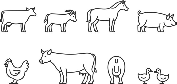 Horse and horses group