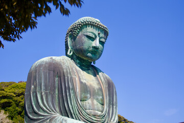 Obraz premium Kamakura Daibotsu bronze Statue against blue sky