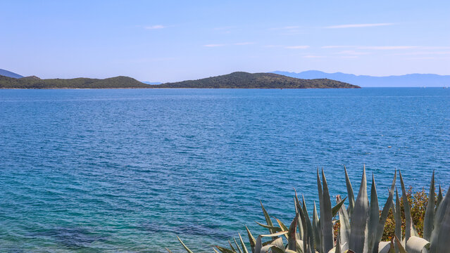 Bitez Bay coastline view showing clear blue Aegean Sea with islands and agave plants in Bodrum, Turkey