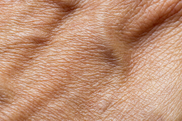 Naklejka premium Macro Texture of Human Skin with Wrinkles and Creases,An extreme close-up macro shot revealing the detailed texture, lines, wrinkles, and natural patterns of mature human skin.