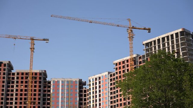 Majestic tower cranes and multistory buildings under construction shape a new urban vista. Green trees dot the foreground, bringing life to this sunny daytime development.