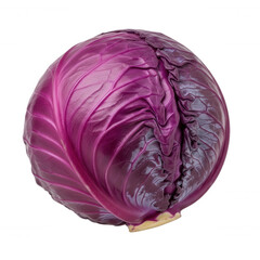 Obraz premium A single head of fresh red cabbage with vibrant purple leaves and intricate vein patterns isolated against a solid black background