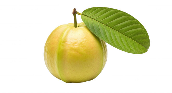 Single ripe yellow guava fruit with a vibrant green leaf attached to the stem, isolated against a solid black background
