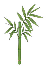 Naklejka premium Green bamboo plant with fresh leaves