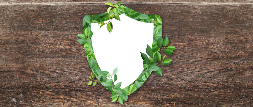 Horizontal wooden background with shield made from green leaves. Safety, global ecological resource, go green concept. Environmental conservation, wildlife protection, Eco-friendly, Green energy