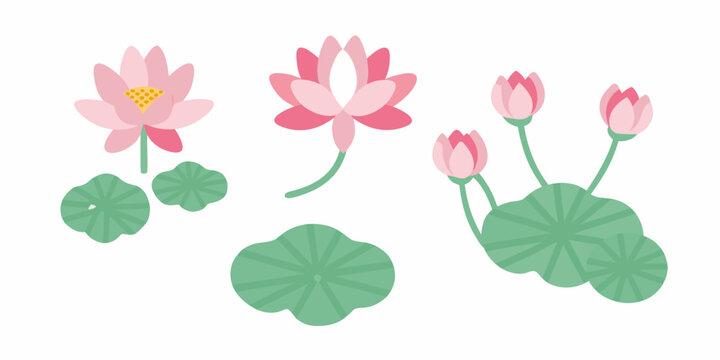 pink lotus flowers and green lily pads flat vector illustration