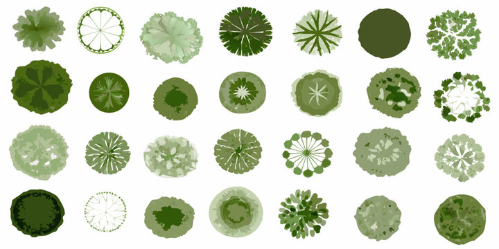 collection of green trees top view vector illustration on white background