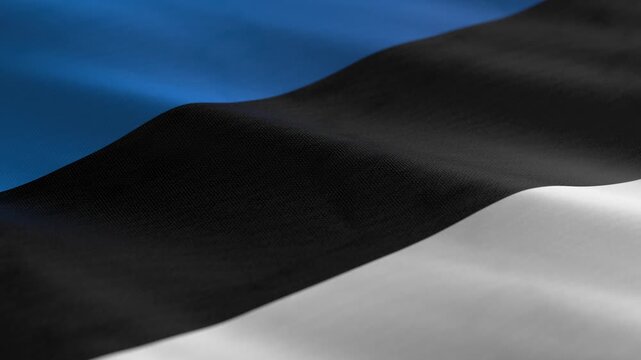 Estonia - waving flag loop